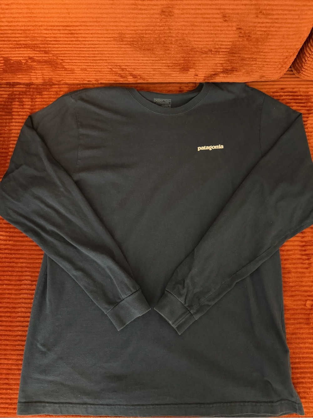 Patagonia Black Long-Sleeve Crewneck Tee